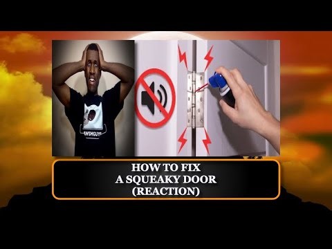 RIP DOOR | How to Fix a Squeaky Door (REACTION)