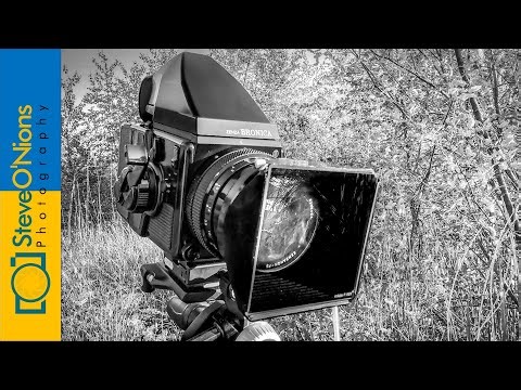 Punchy Summer B&W Photography