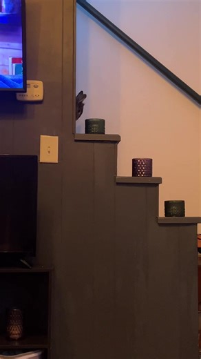 My boy is here! #bunny #cute #petsoftiktok #nightlybuncheckin #cozy