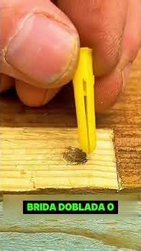 Reparación de puertas #fyp #viral #foryou #tips #viralvideo #fypシ