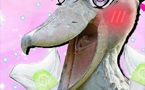 都是些什么鬼哈哈哈