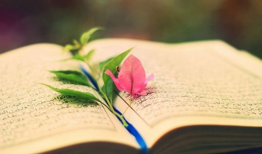 Salmos para bodas: 25 Lecturas para una Ceremonia Religiosa