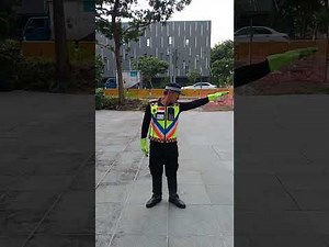 Traffic Police Hand Signals