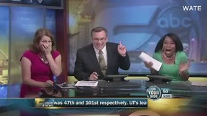 Bat flies through live newscast