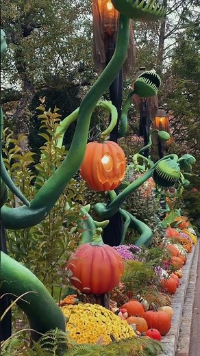 Et si on fêtait Halloween ensemble ? 🎃