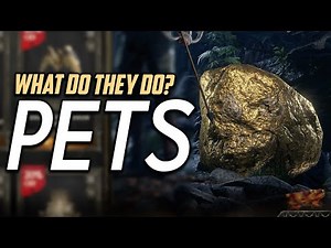 What Do Pets Do In Path Of Exile 2?