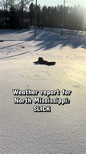 Won’t be a bit surprised if Desoto County is out of school the whole week. #winterstorm #ice #sleet #mississippi #winter