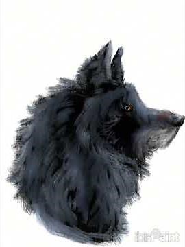 wolf speedpaint! ✨#ibispaintx #ibispaint #drawing #idk #fart