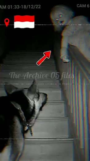 My friend in INDONESIA sent me this tape... (Look at the stairs) 🇮🇩⚠️
