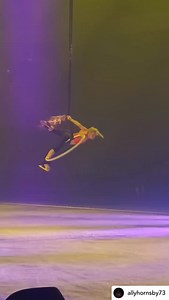 57 reactions · 4 comments | Spectacular hoop and skate act from @allyhornsby73! ⛸️ #aerialartsassoc | Aerial Arts Association | Facebook