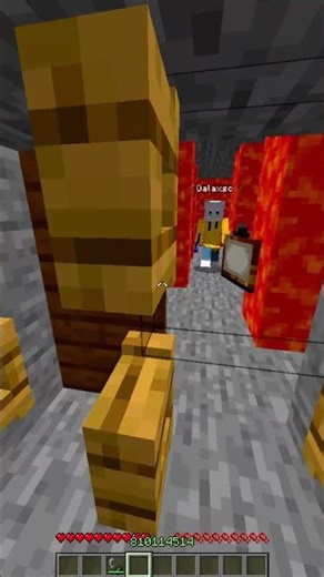 Minecraft Chase(TAS) ‪@Galaxscat‬ #minecraft #bestgg #bestbests #bestminecraftclips #clip #memes