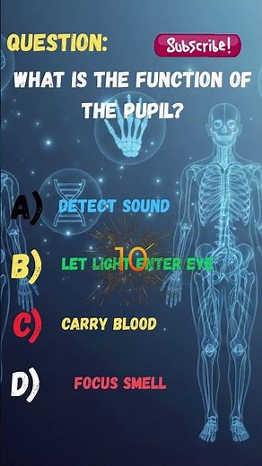 What Is the Function of the Pupil? 👁️ | Anatomy Quiz #susbcribe