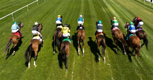 Wilkie: Masters Of The Turf