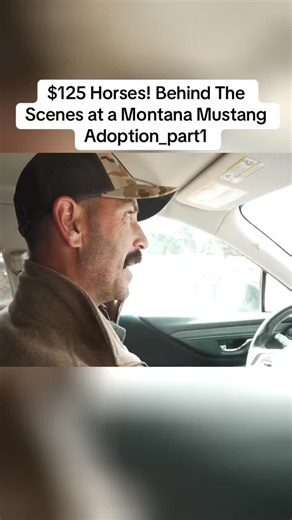 $125 Montana Mustang Adoption: Behind The Scenes Part 1