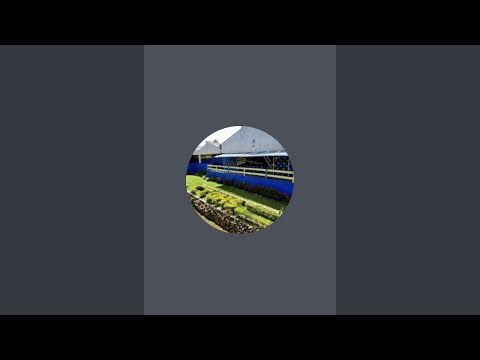 TrueVybzTV is live!