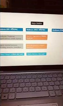 Major Divisions of the Human Brain nitish sir