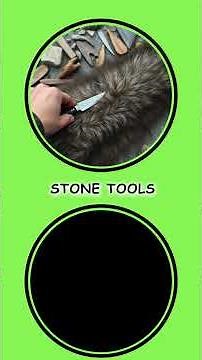 Stone Age Technology