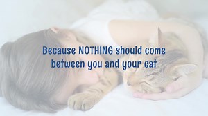 Keeping your cat safe from creep crawlers is a growing concern to anxious cat owners across the country. Introducing Revolution Plus – The #1, mess free topical that kills the 3 most common ticks… This 6-in-1 flea & tick killer provides a 1 month shield around your cat. It’s simple to use, dries quickly, and doesn’t leave that greesy feeling or chemical smell (like most other topicals do!). Tap the link below and see how Revolution Plus keeps cats itch-free all time long. https://www.1800petmeds
