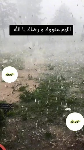 حسابات مقترحة