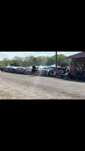 Celebrating Strong Horses: A Year of Racking Competitions