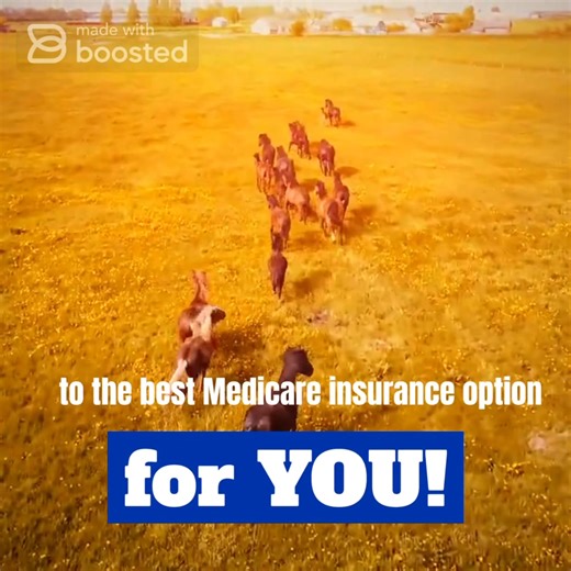 Eagle Insurance on Reels