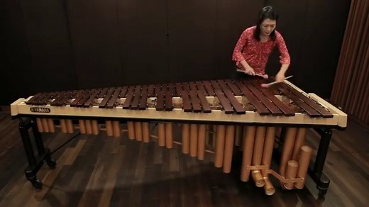 Various playing techniques