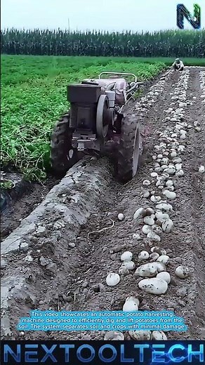 Potato Harvesting Machine for Modern Farming