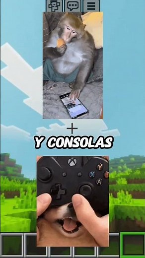 “La razón del lag en Minecraft Java”