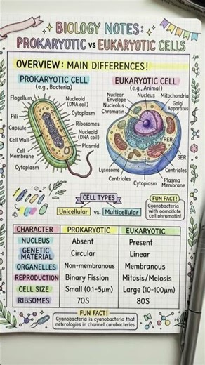 🔬 Prokaryotic vs Eukaryotic Cells — The Ultimate Cell Battle!