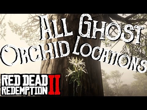 Red Dead Redemption 2 - All 10 Ghost Orchid Locations (Duchesses and Other Animals) Exotics - RDR2