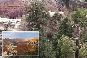 Grand Canyon hikers scream as woman plunges 100ft to her death while taking photos with family