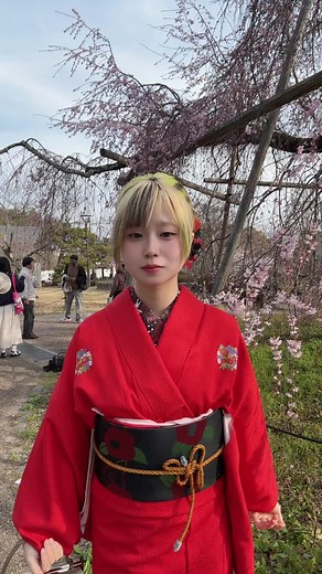 中学修学旅行、京都の思い出