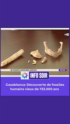 Une équipe de chercheurs a mis au jour, dans la carrière Thomas I à #Casablanca, des fossiles humains vieux de 773.000 ans. Une découverte majeure qui renseigne sur une période charnière de l’évolution humaine et confirme le rôle central de l’Afrique du Nord dans les origines profondes de l’espèce Homo sapiens. | 2M.ma