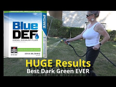 Discover Why DEF is the Best Fertilizer for Achieving Dark Green Grass
