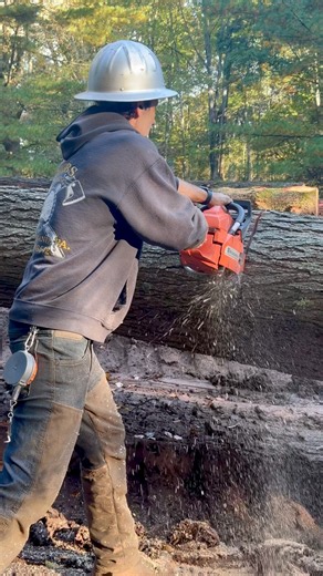 Billy Bucking With Legendary 288XP Chainsaw