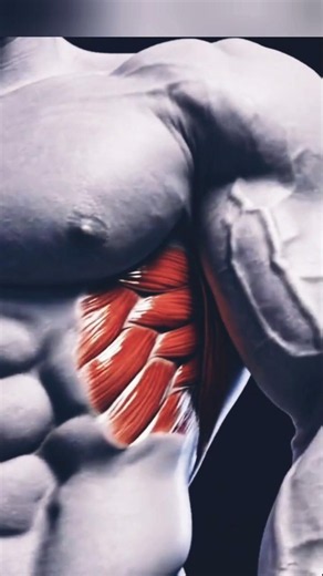 3 Best Oblique Exercises for a Stronger Core 🔥