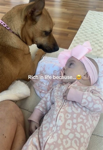 Pets and babies will always melt my heart 🥺 I’m so obsessed with watching my dog and baby bond together. It’s the cutest thing I’ve ever witnessed. #dogandbaby #heartwarming #petlovers #furbaby #newmom dog and baby videos / cute interaction between baby and pet / dog and babies growing up together / dogs and babies best friends