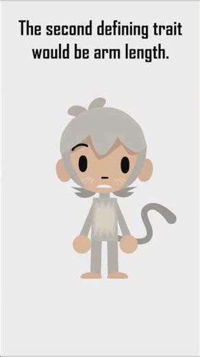 What is an ape? #animation #apes #monkey #greatape