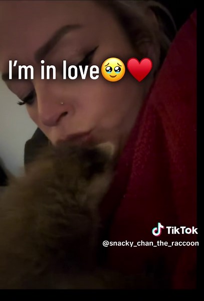 #raccoon #raccoonsoftiktok ##SnackyChan #babyraccoon #happy