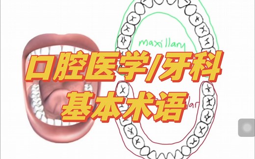 【口腔医学生必看】牙科基础术语【中英字幕】