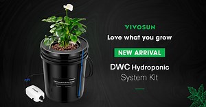 New Product Released🔥🔥🔥 Vivosun DWC Hydroponic System - Uncommon Yield with Triple Growth Rate | VIVOSUN