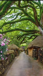 160K views · 5.6K reactions | A quiet village lane becomes a whole world when it rains softly. Would you walk through it alone or with someone? #NatureWalk #RainMood #VillageScenes #EarthMagic #PeacefulVibes #NatureFrame | Daynightseen | Facebook