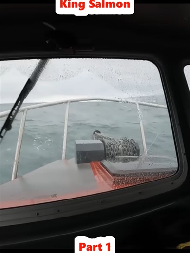 Catch and Cook Snow Crabs and King Salmon: A Culinary Adventure