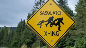 Camper: Alleged Bigfoot sighting prompts gunfire at Kentucky park