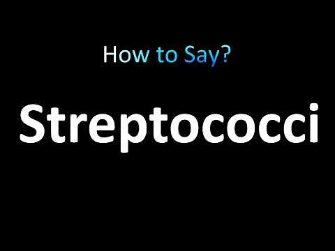 How to Pronounce Streptococci (correctly!)