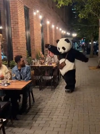 Skateboard math was off… apologies were sincere 🛹🐼😬🍽️ Collect our 6 ETH NFT collections! Buy PUMP & ABSTRACT $PANDA 🐼 ✳️ $59k to CONSERVATION so far ❤️‍🔥