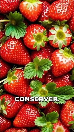 Astuces pour Conserver les Fraises Fraîches