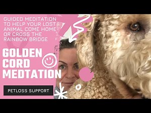 Guided meditation - help your missing pet come home
