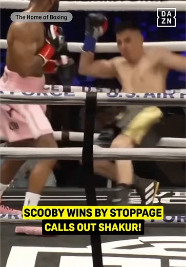 Who Should Scooby Fight Next? Exciting Matchups Revealed