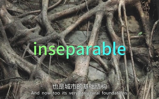 考研单词inseparable